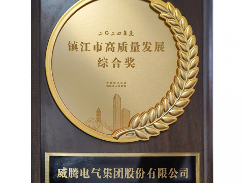 喜讯│维多利亚老品牌vic荣获2024年度镇江市高质量生长综合奖