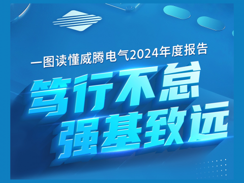 一图读懂维多利亚老品牌vic电气2024年度报告